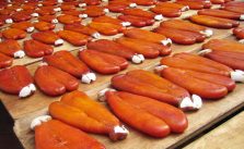 Pêche durable de la mulet pour assurer l'avenir de la poutargue - Boutargue  Meyer - Le spécialiste de la Boutargue à Marseille et en Provence